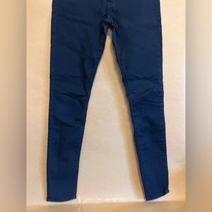 Hudson Navy Skinny Pants